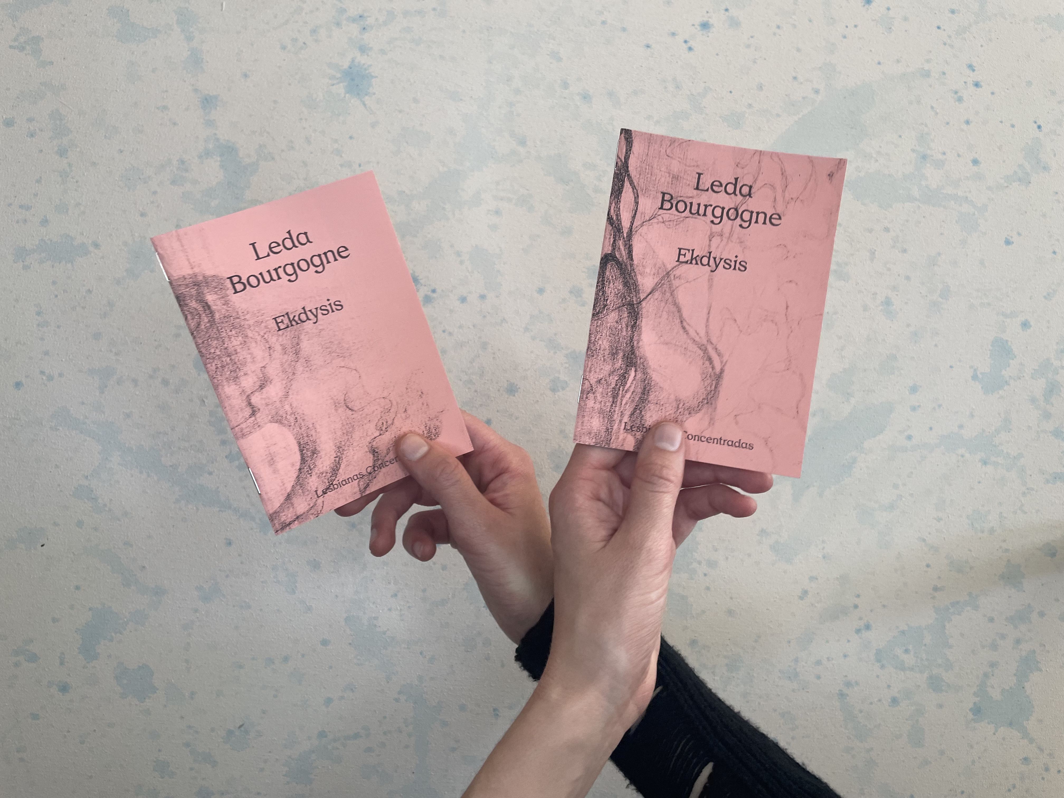 Lesbianas Concentradas