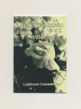 Lesbianas Concentradas